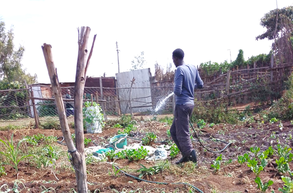 The Power of Small Savings – the story of Daniel Mugo